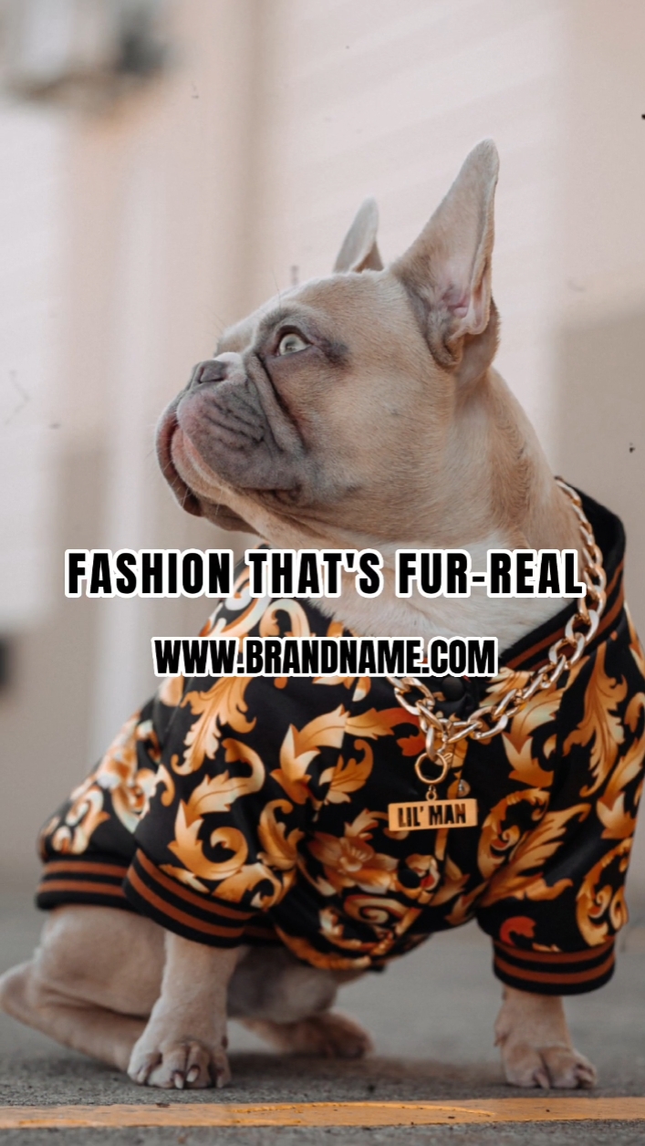 Ropa para Mascotas Producto Mostrar Texto A Discurso Estilo TikTok