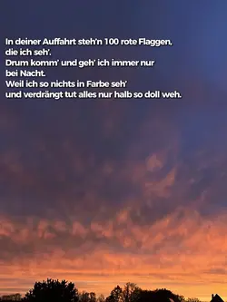 100 rote flaggen 