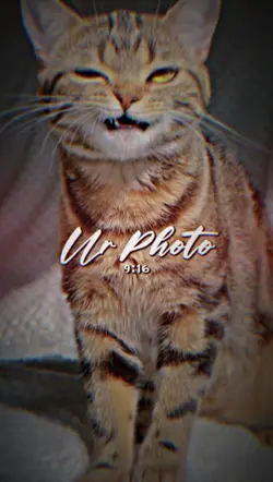 เพลงเขมร 2รูป