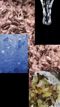 健康拼圖