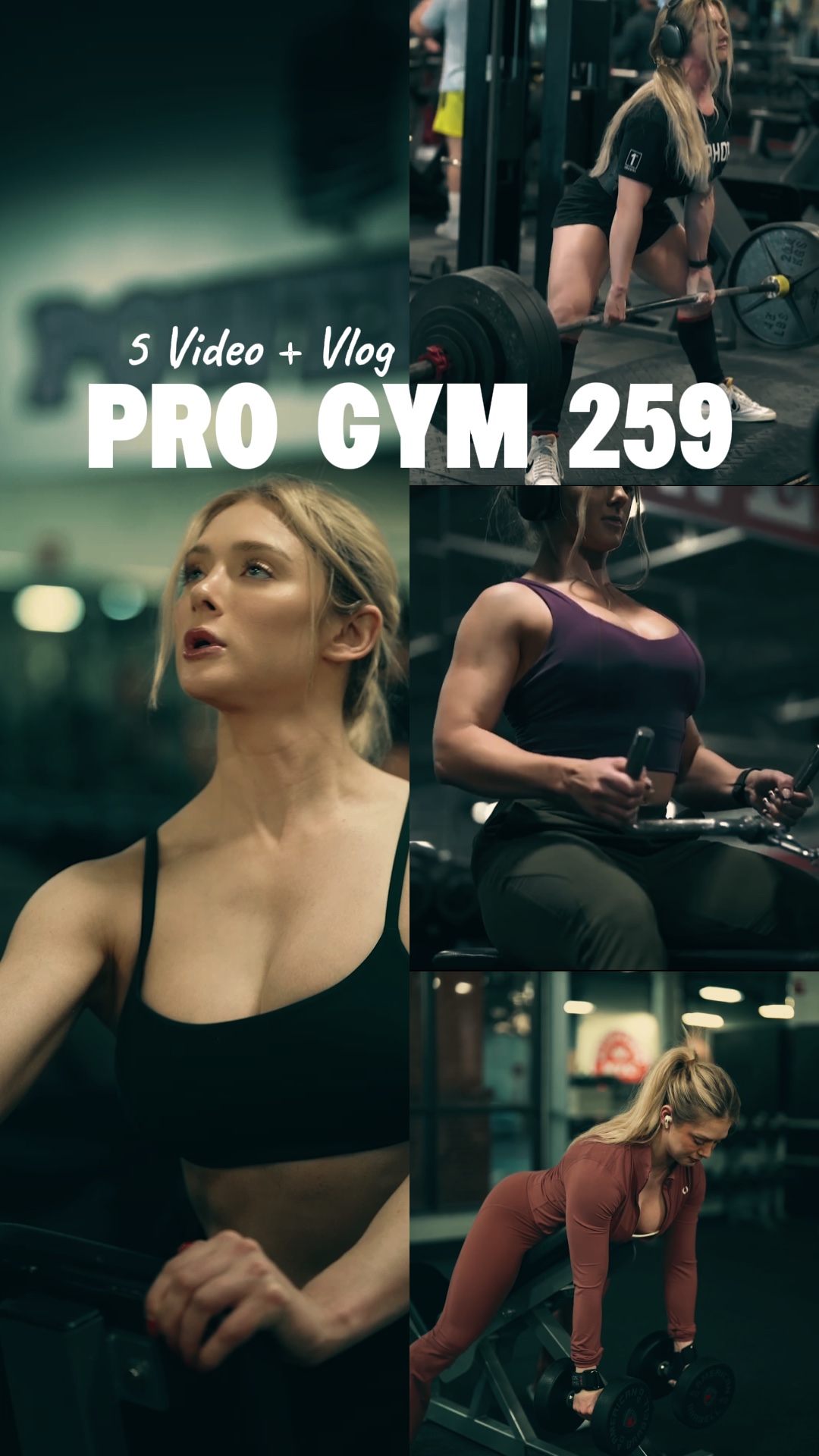 PRO GYM | 5 VIDEO
