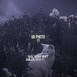 blur version