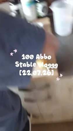 stable vlog