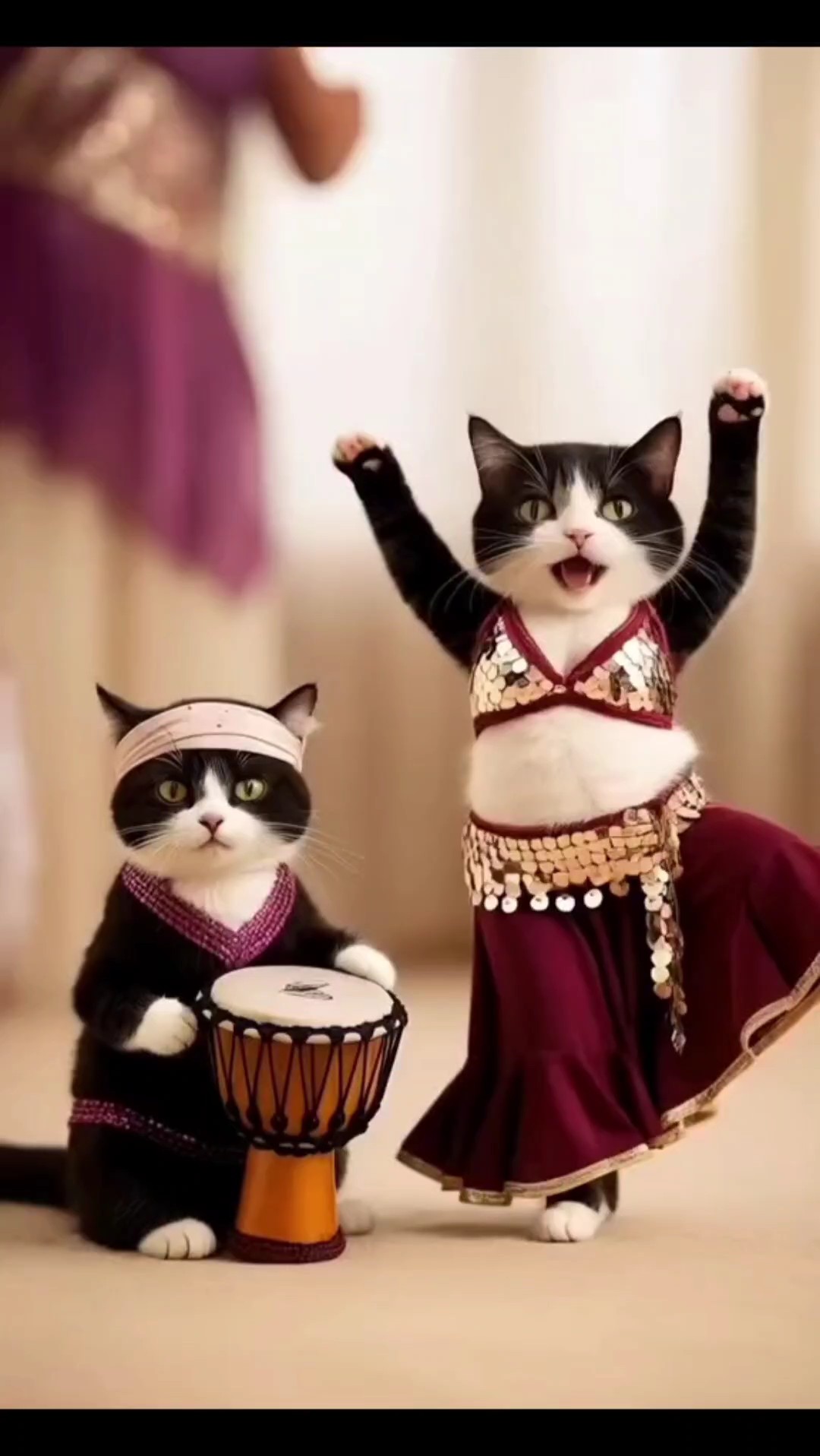 Lustige tanzende Katze 
