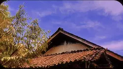 Movie klip
