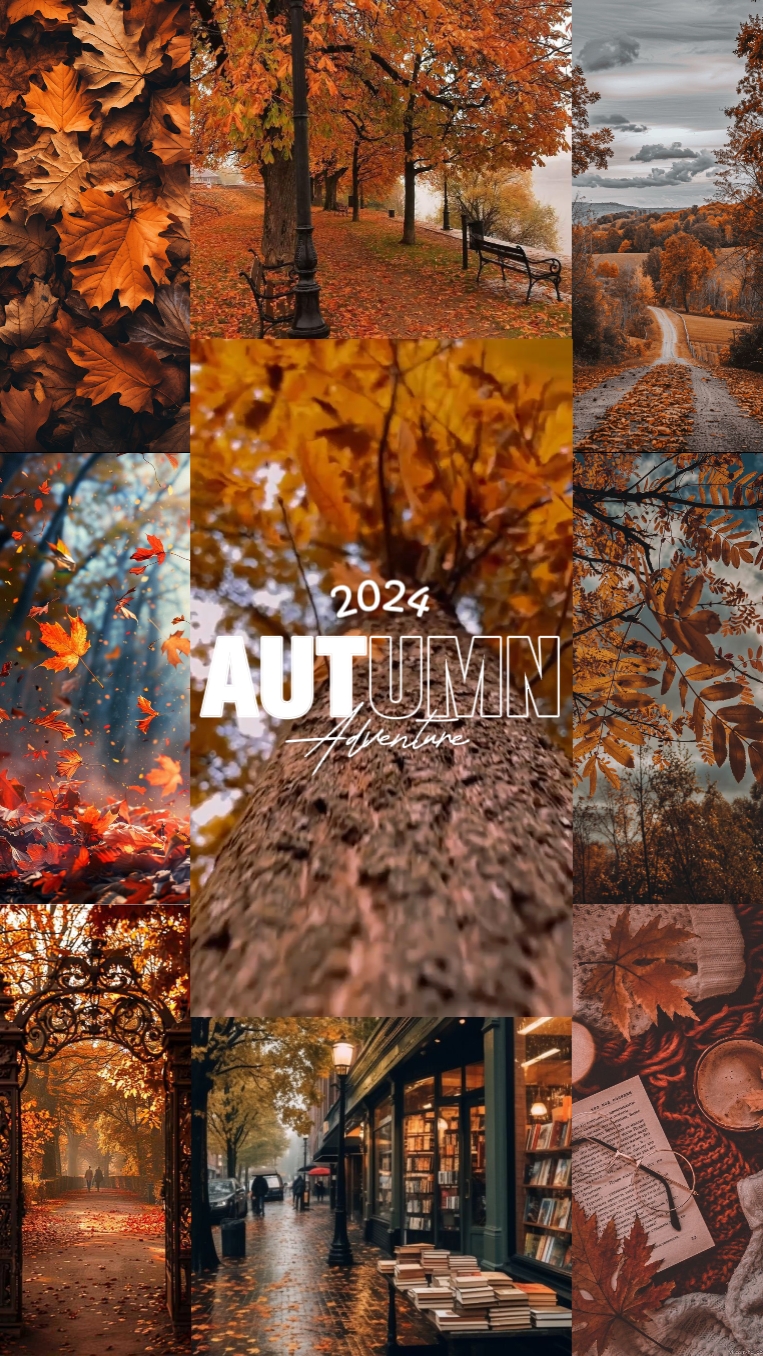 Autumn Adventure 