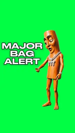 MAJOR BAG ALERT TUNG