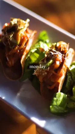 taco everyday