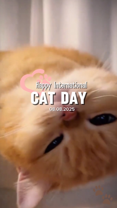 Happy World Cat day