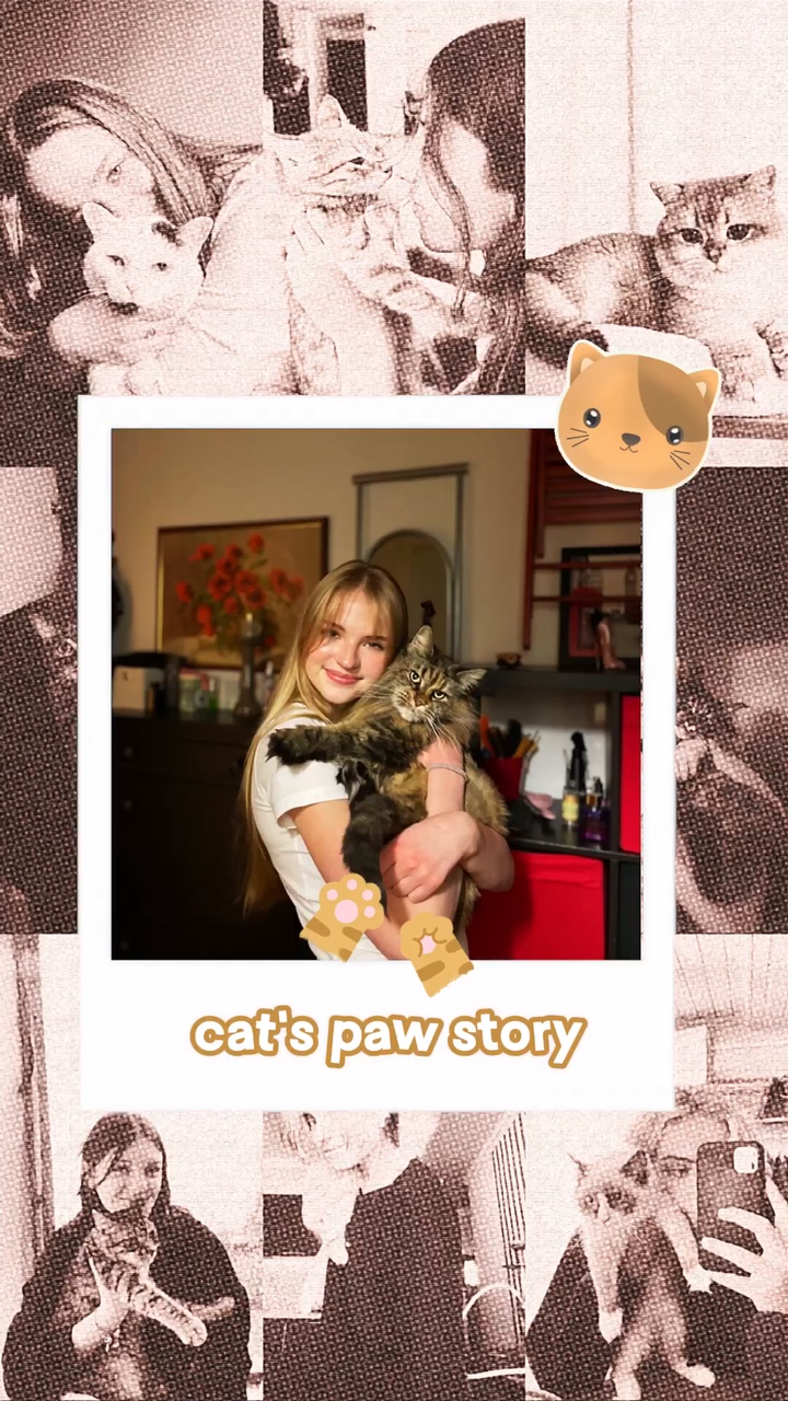 La historia del gato 