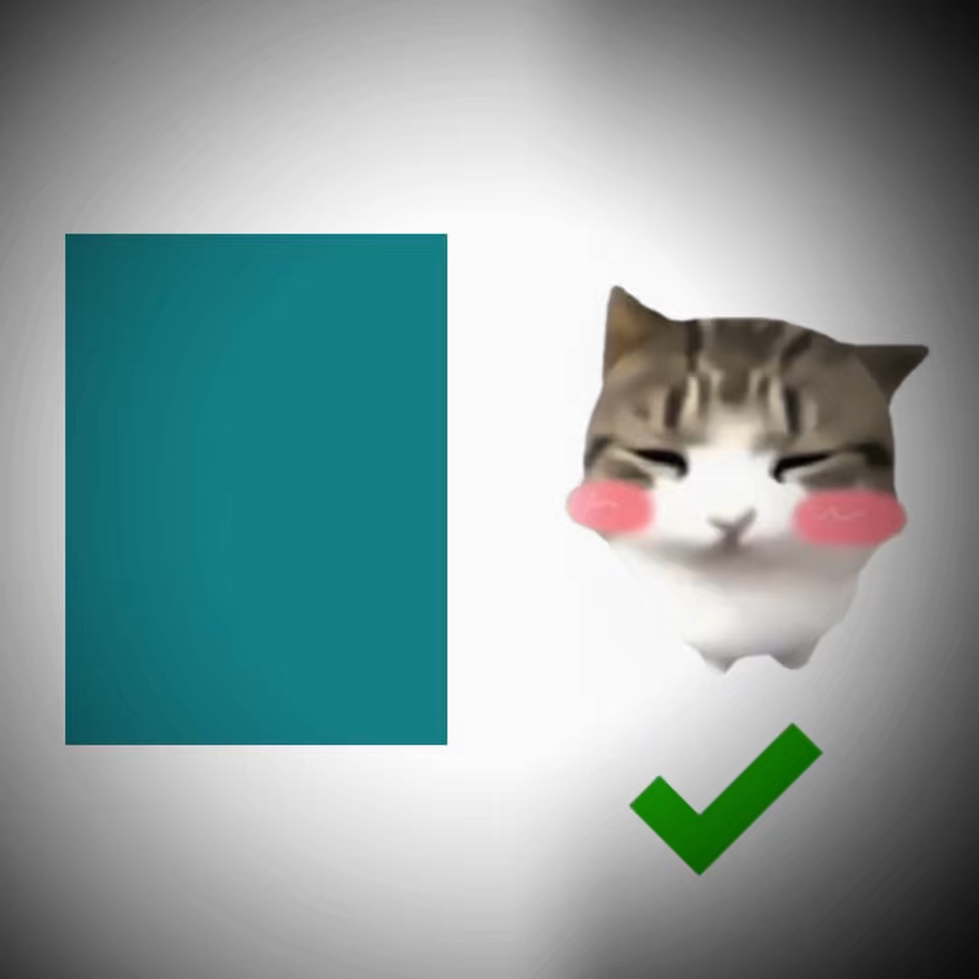 귀여운 고양이