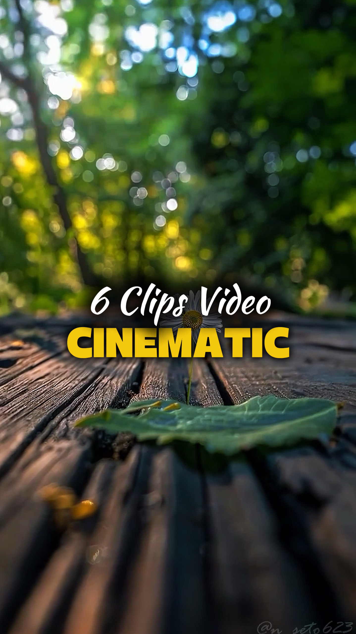 6 Videos Cinemáticos 