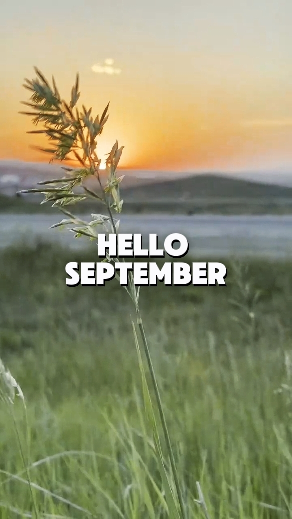 Hola septiembre