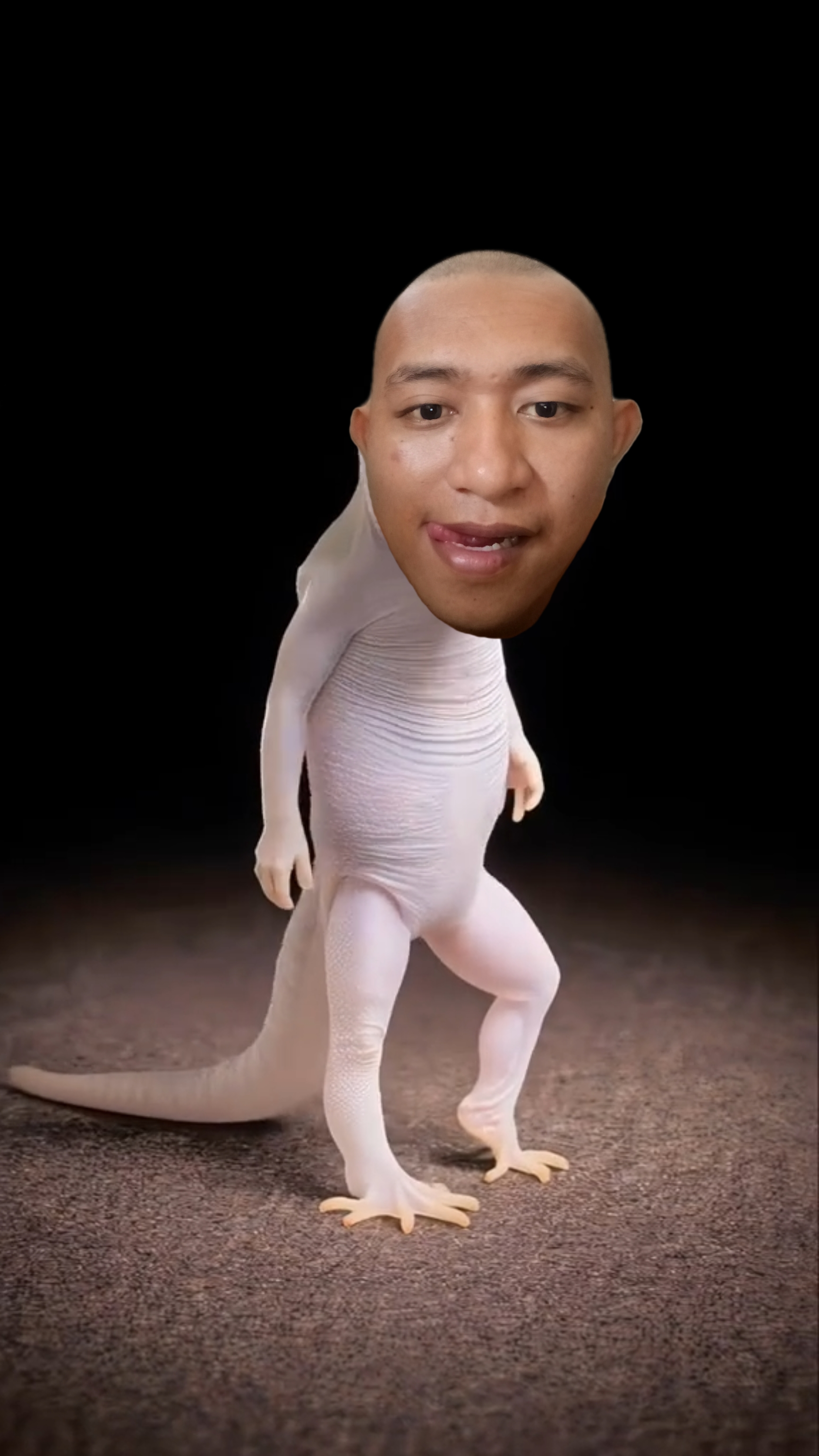 dancing lizard