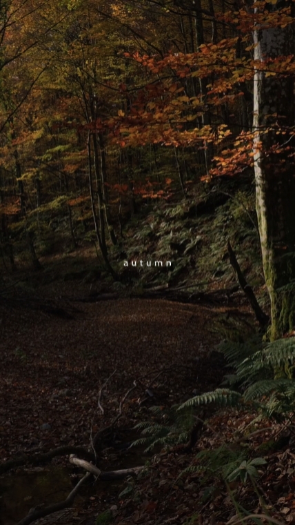 autumn