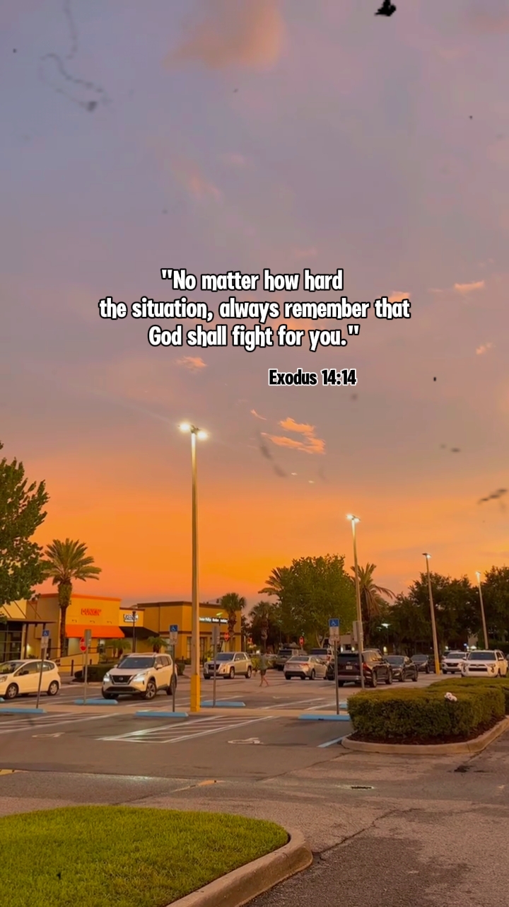 Exodus 14:14