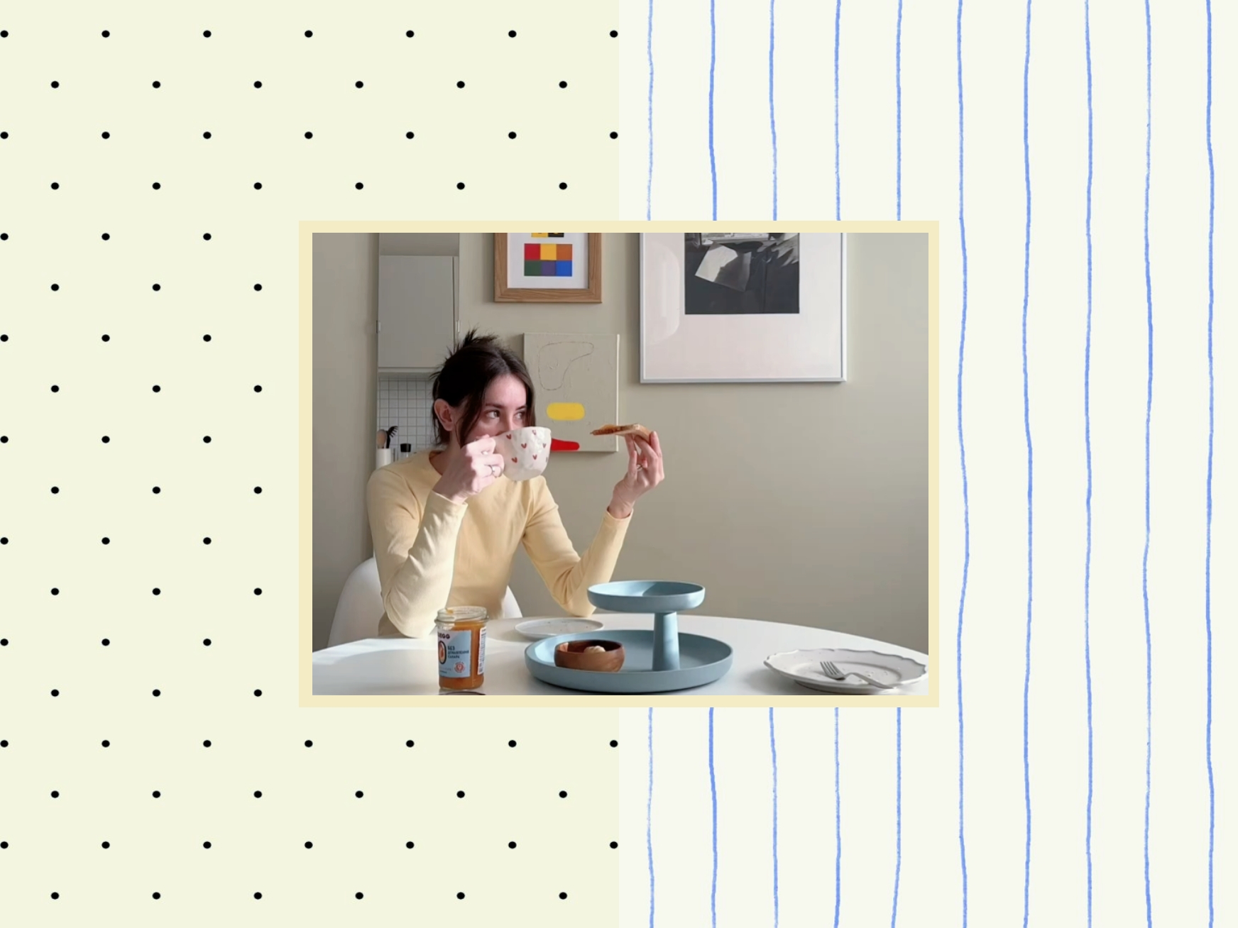 vlog mini