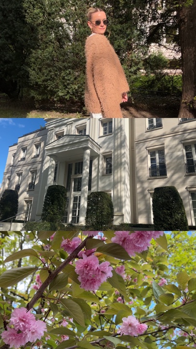 Promenades du dimanche 🌷