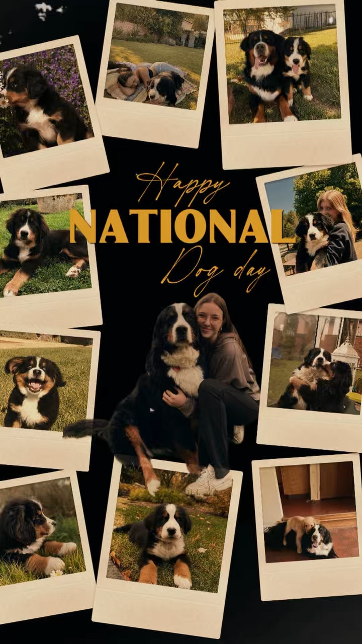 Happy National Dog 