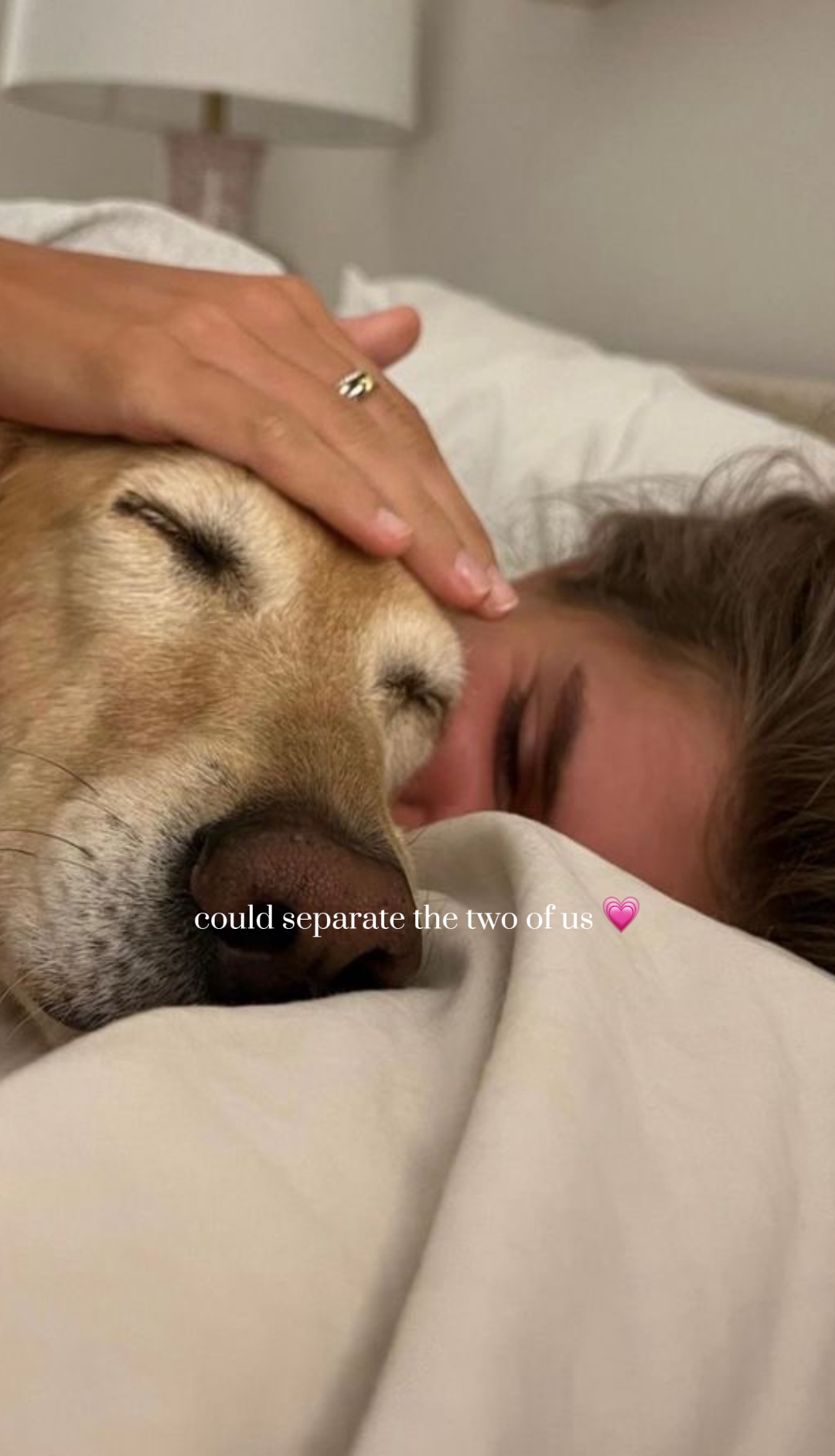 No puede separarnos 🐶