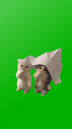 CUTE KITTIES MEME