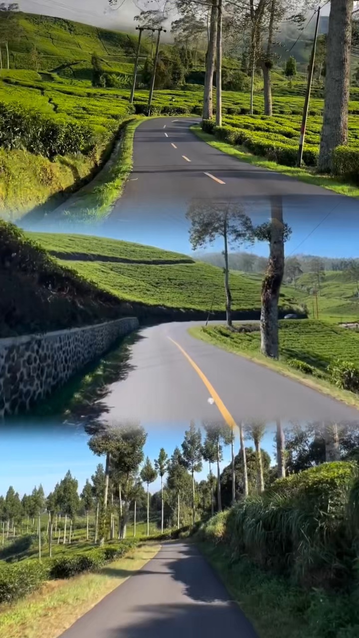 3 video yol hikayesi