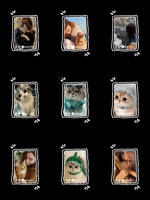Historias de gatos