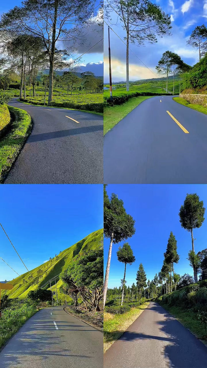4 videos kolase