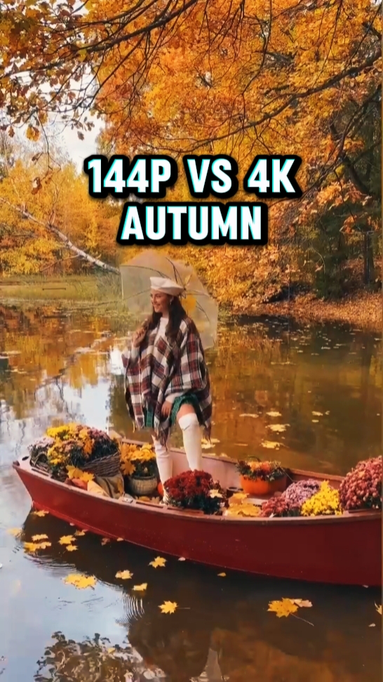 144P a 4k outono