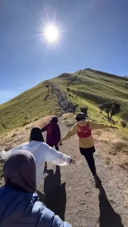 Aku ingin terbang 