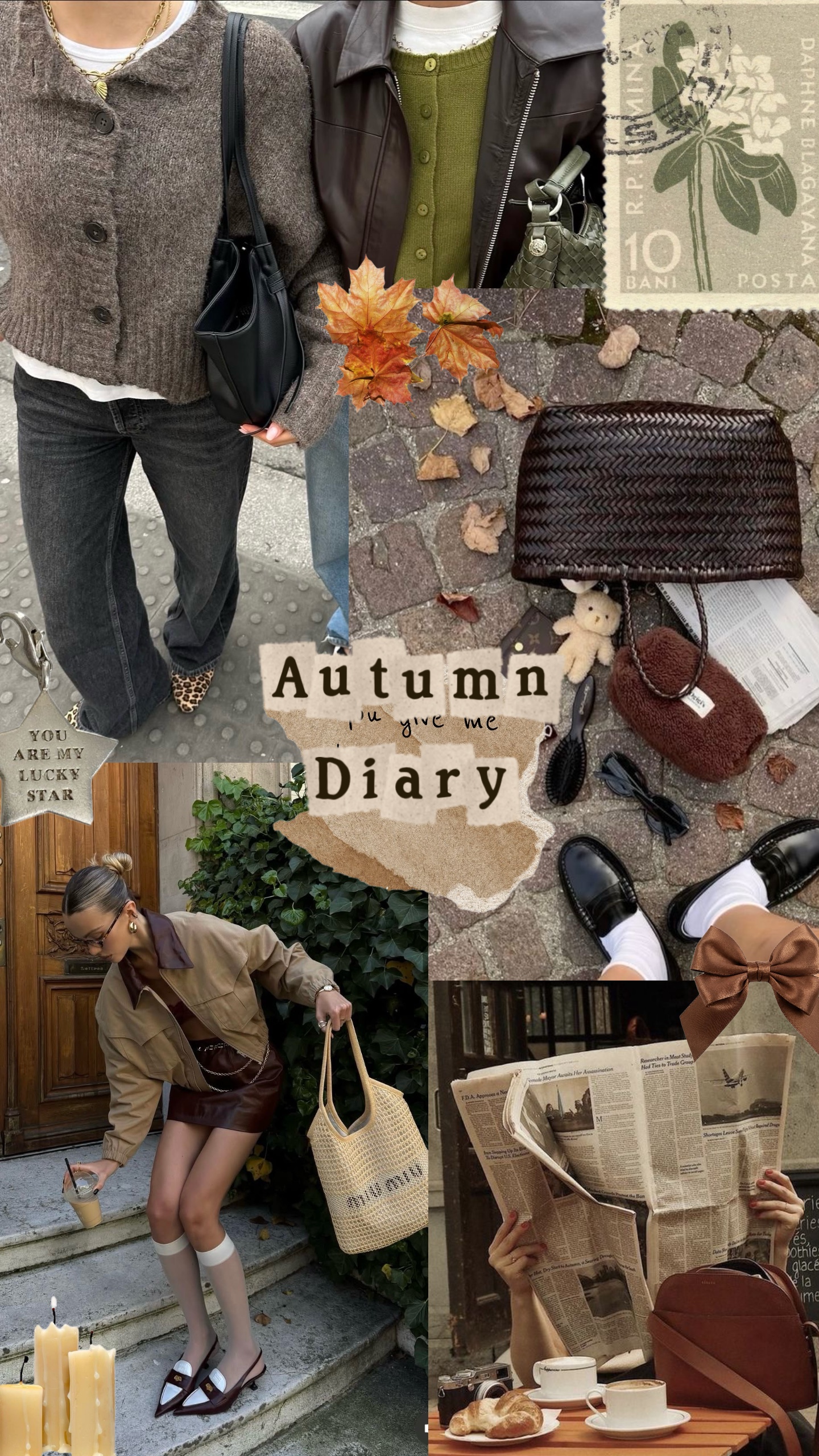 Autumn Diary 📖