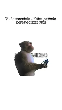 Repost: Meme Chango