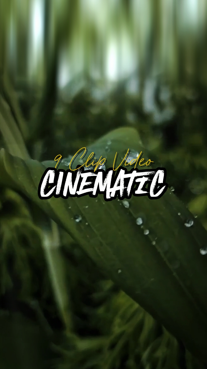 9 Clip Cinematic 