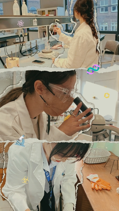 Laboratory 