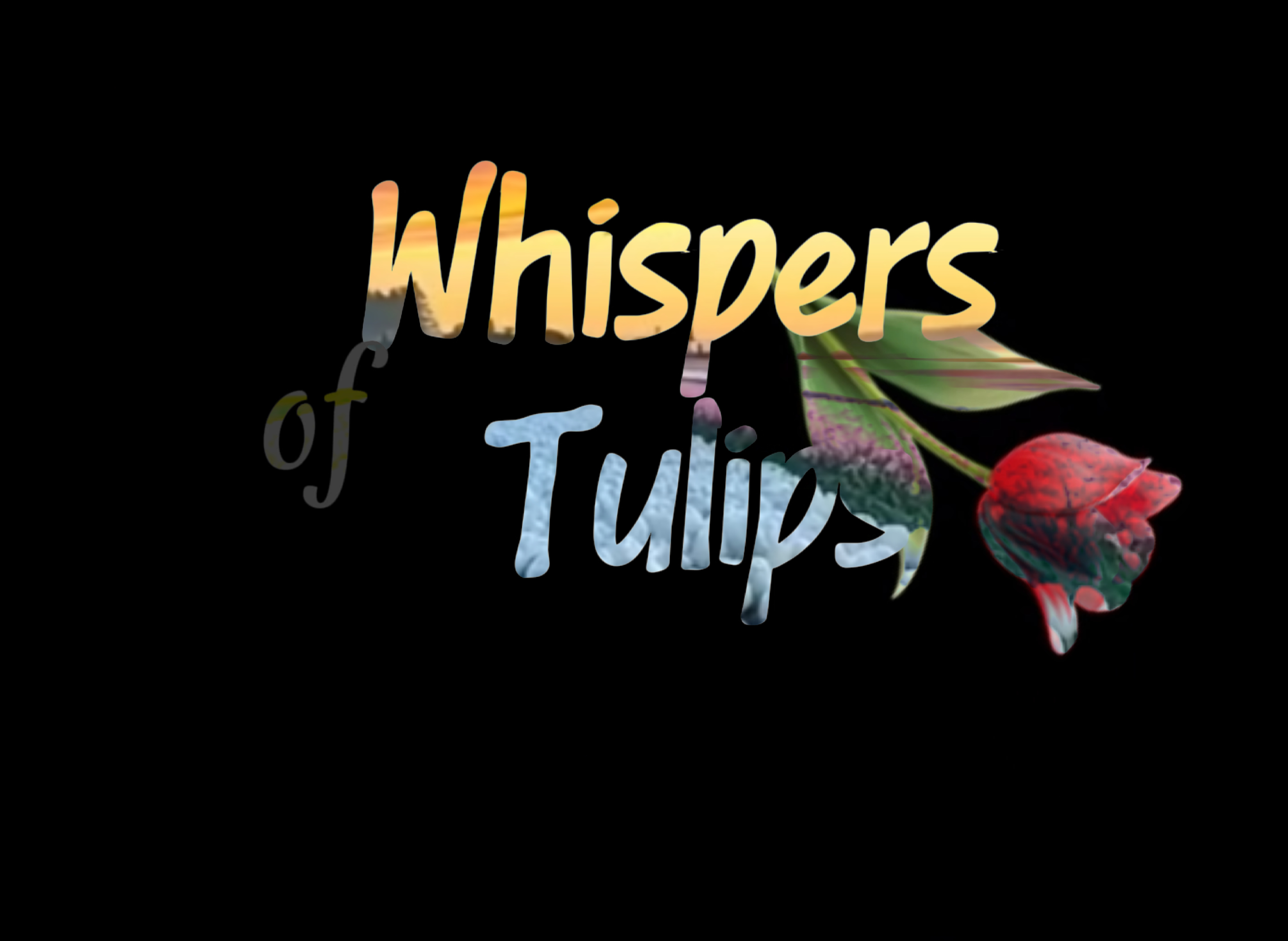 Tulipán