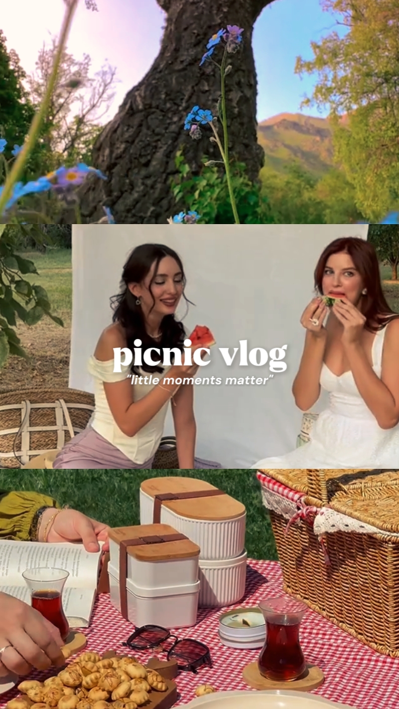 Picnic vlog 