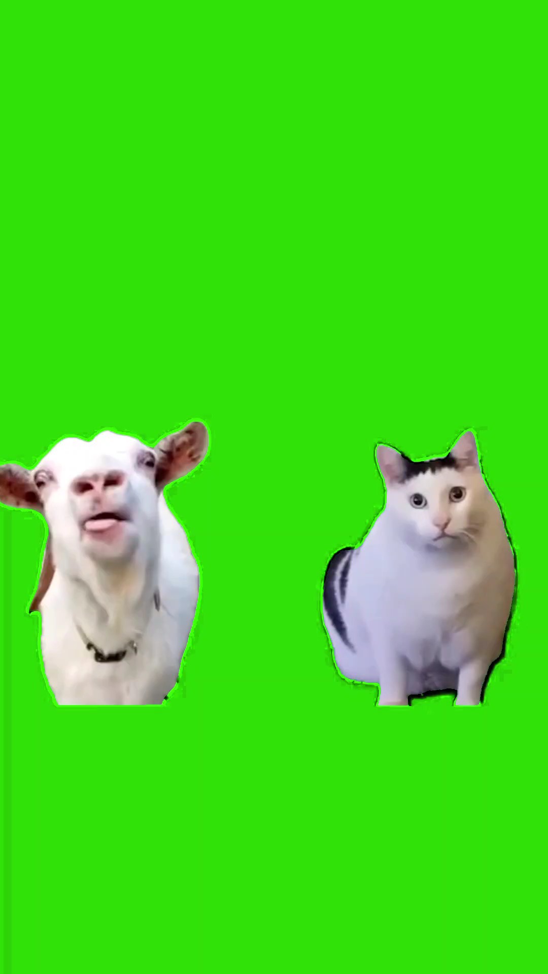 嗯？？？？