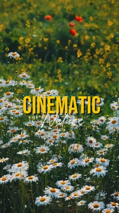 Cinematic 