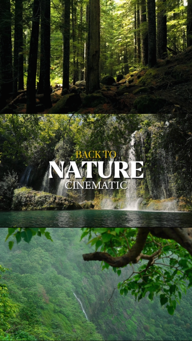 nature
