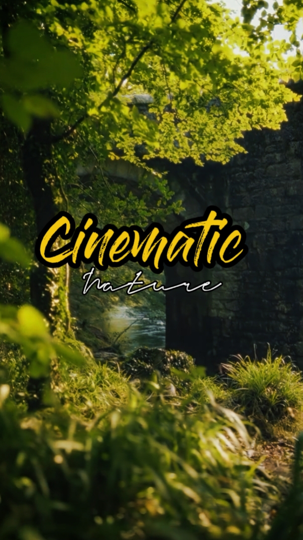 Natureza cinematográfica 