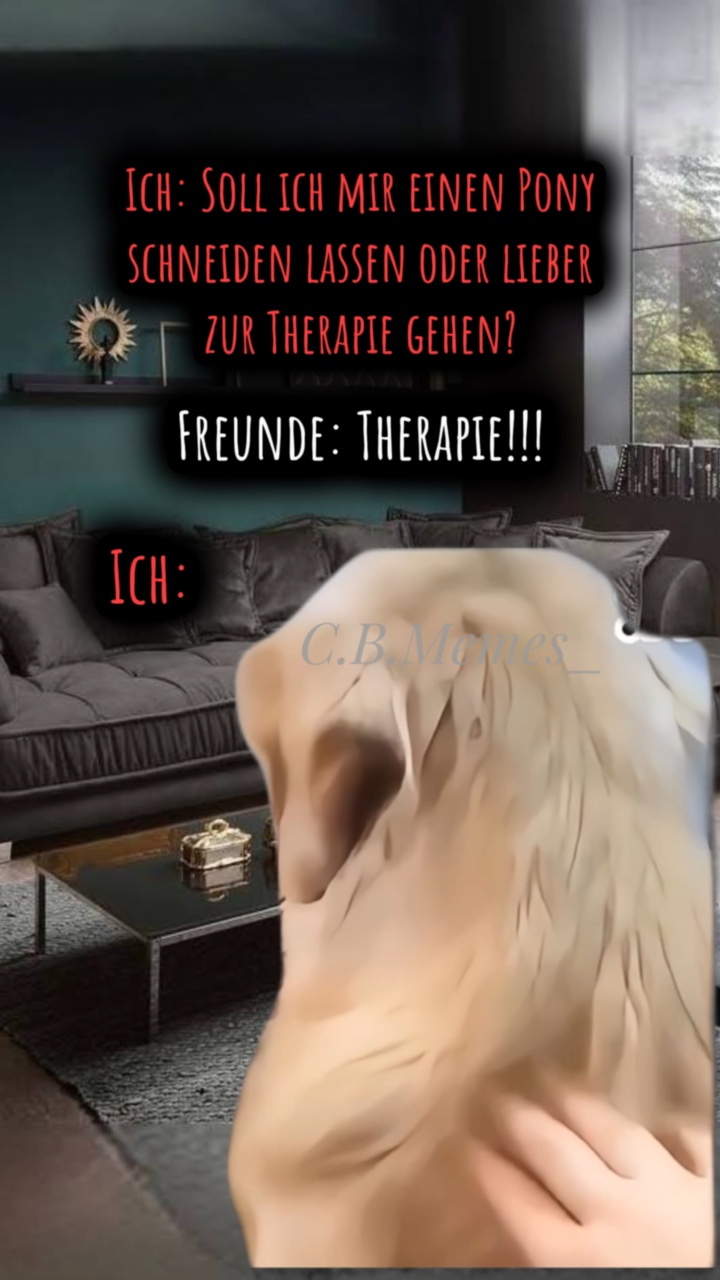 Funny Dog