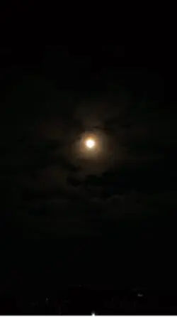 Night view