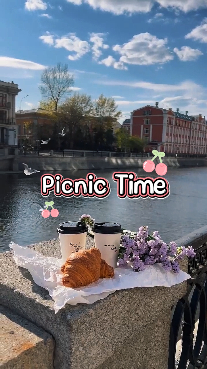 Picnic Day Vlog 
