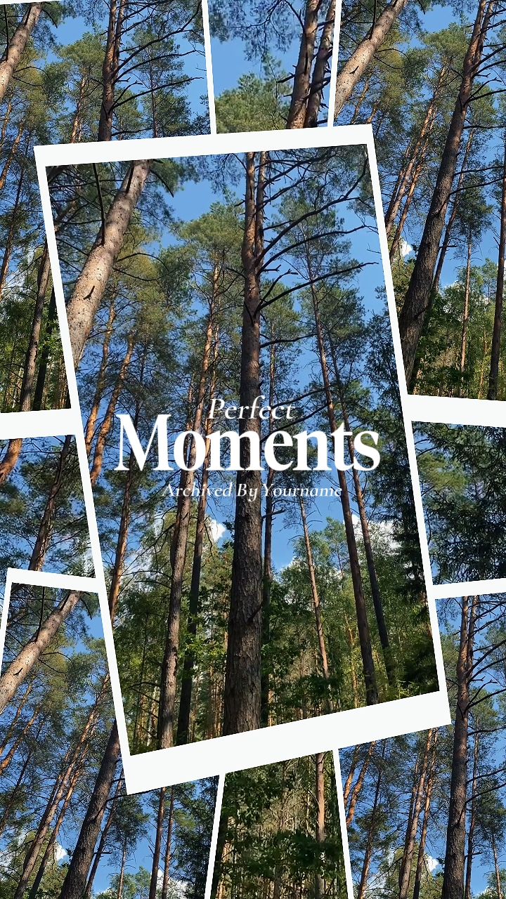 Perfect Moments 