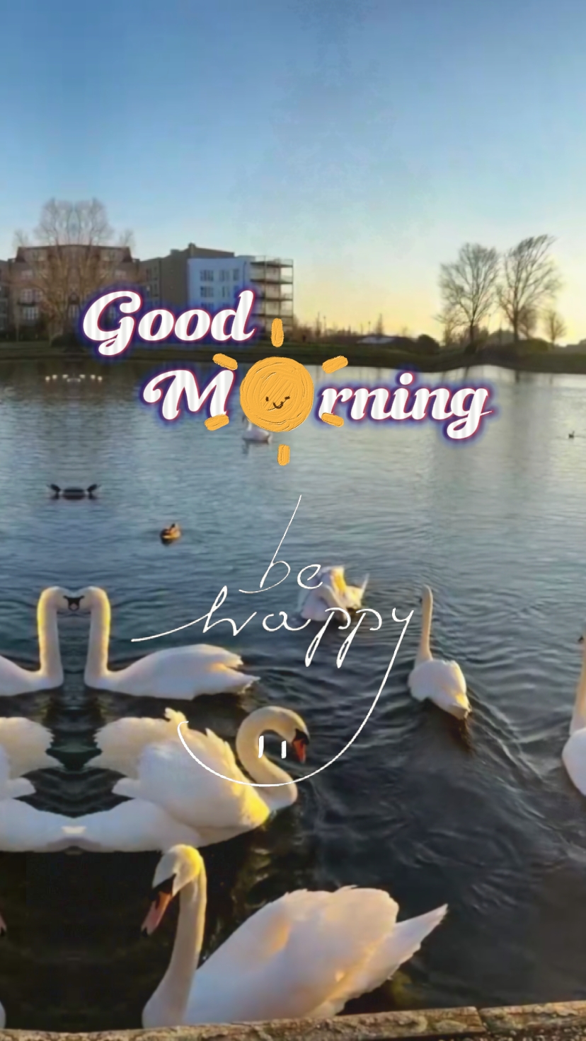 Bonjour