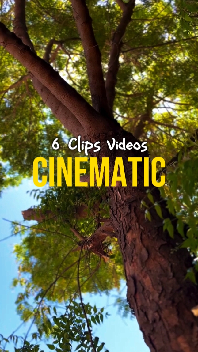 6 CLIPS KINEMATIC
