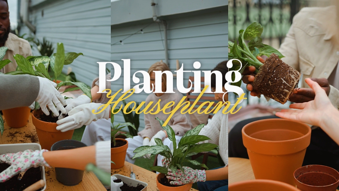 gardening