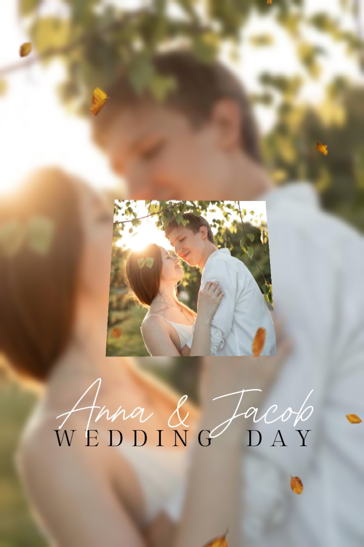 Wedding Day