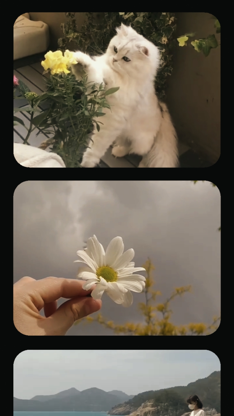 PUTARAN FOTO