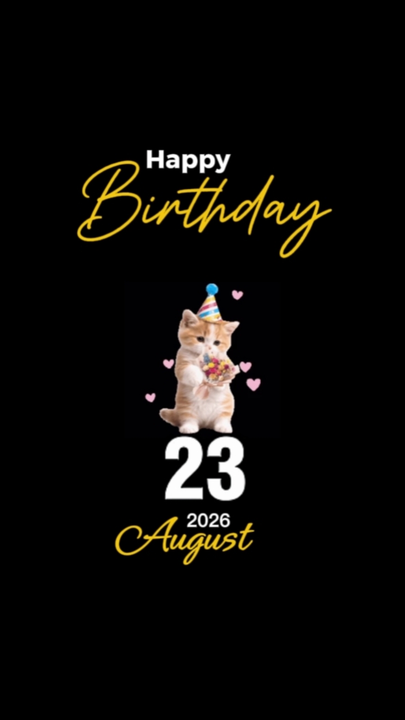 ANIVERSÁRIO GATO